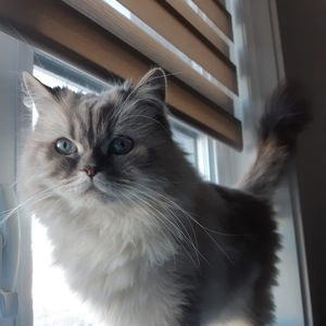 Meet your Posher, Ericka